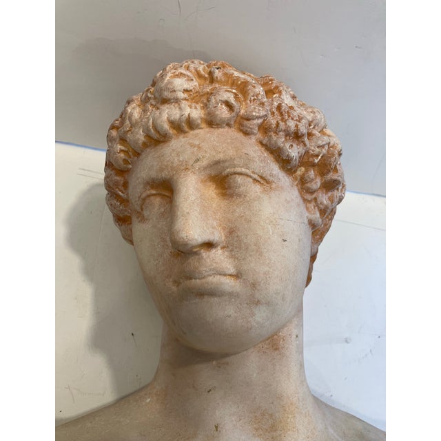 Italian 1990s Italian Terracotta Roman Portrait Bust For Sale - Image 3 of 5