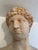 Italian 1990s Italian Terracotta Roman Portrait Bust For Sale - Image 3 of 5