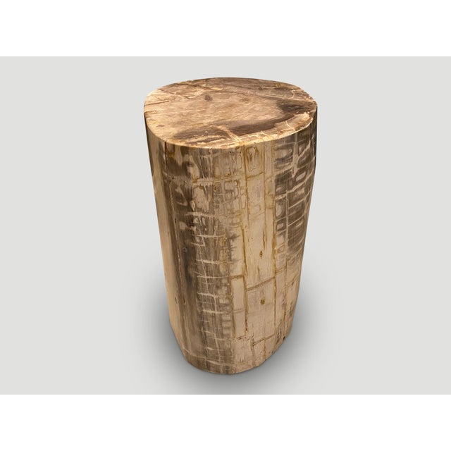 Andrianna Shamaris Large Ancient Petrified Wood Side Table For Sale In New York - Image 6 of 18