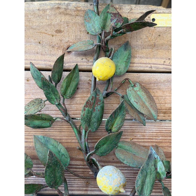 Mid 20th Century Rare Vintage Italian Tole Lemon Tree Wall Jardiniere With Five-Light Candelabra, Two-Piece Set For Sale - Image 5 of 12