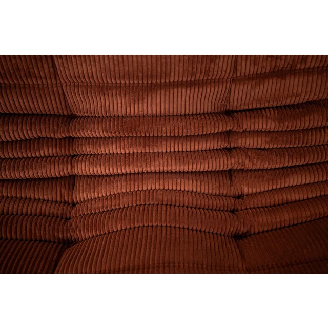 Togo Two-Seat in Brown Corduroy by Michel Ducaroy for Ligne Roset For Sale - Image 9 of 12