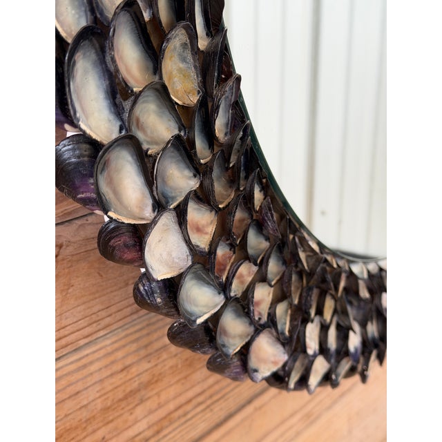 Contemporary Handmade Coastal Mussel & Cowrie Shell Layered Round Mirror For Sale - Image 3 of 12