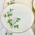 Ceramic 1950s Vintage Coastal Boho Chic Dogwood Luncheon or Salad Plates - Set of 6. For Sale - Image 7 of 10