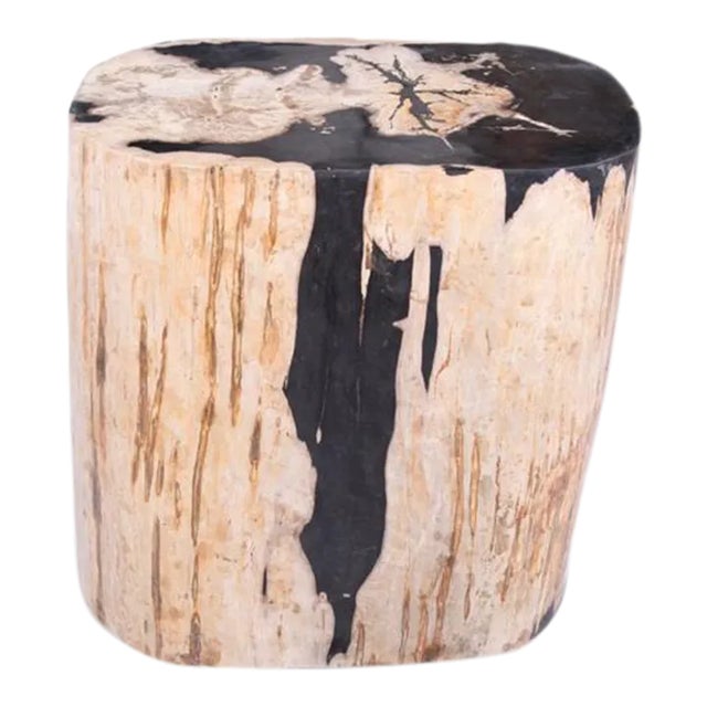 Large Oval Petrified Wood Accent Table or Side Table 2 For Sale