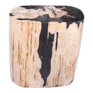 Large Oval Petrified Wood Accent Table or Side Table 2