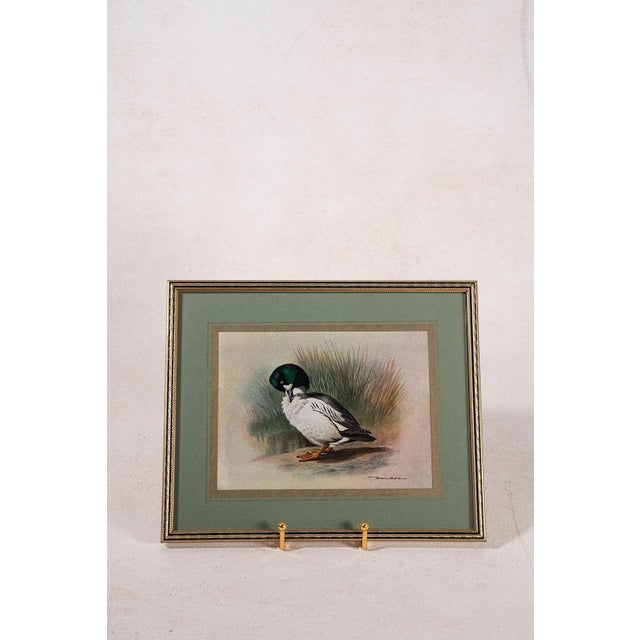 Set of 3 Signed Duck Prints With Green Mats For Sale - Image 4 of 9