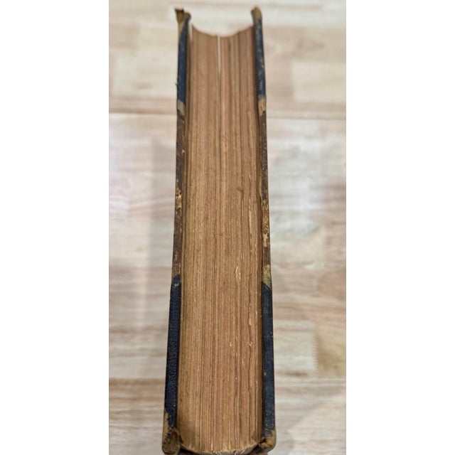 English Rare 1870s First Edition: The Illustrated Book of Pigeons by Robert Fulton (Cassell Petter & Galpin) Complete With All 50 Color Plates by j.w. Ludlow For Sale - Image 3 of 12