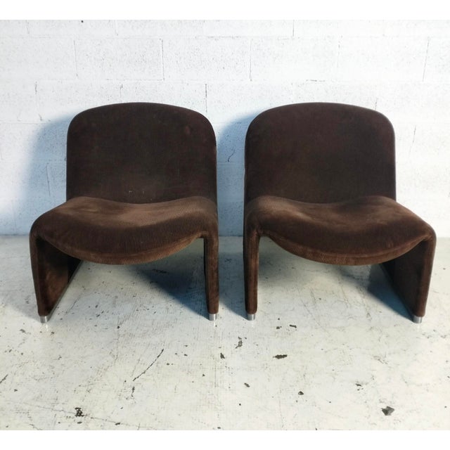 Castelli Velvet Alky Lounge Chairs by G.Piretti for A.Castelli, 1970s, Set of 2 For Sale - Image 4 of 16