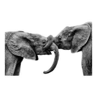 Love (Limited Edition Photography -- Gallery Edition on Fine Art Paper, Size L) For Sale