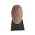 Natural oblong quartz Shiva Lingam stones from the Narmada River in Rajasthan, North India. These special natural formed...