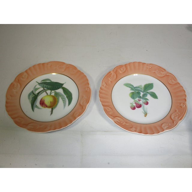 Set of 2 Mottahedeh porcelain salad plates decorated in the summer fruit pattern. They have a scalloped edge, embossed...