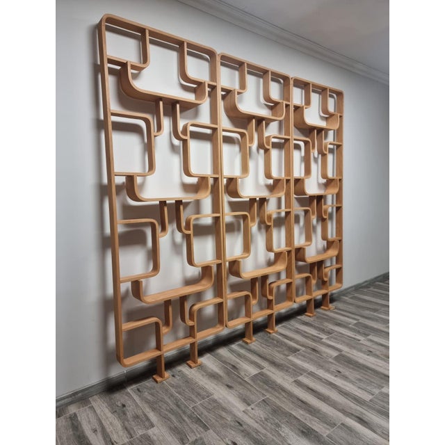 Mid-Century Modern Room Dividers by Ludvik Volak for Drevopodnik Holesov, 1950s, Set of 3 For Sale - Image 3 of 17