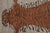 Indian Rug & Kilim Tiger Skin Style Rug in Orange, Gray Pictorial, 8x9 For Sale - Image 3 of 6