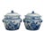 This lovely pair blue and white porcelain jar is adorned with beautifully hand painted peonies, bamboo, and plants....