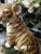 Vintage Plaster Tiger Decorative Statue For Sale In West Palm - Image 6 of 8