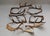 European Collection of Elk and Moose Antlers - Set of 9 For Sale - Image 16 of 18