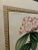 Set of 4 Original 19th-Century L’Illustration Horticole Botanical Chromolithographs by P. De Pannemaecker For Sale - Image 12 of 12