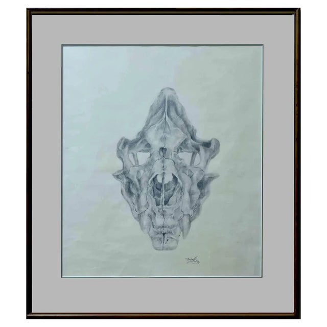 Michael Burgess, Anatomical Study, 1978, Drawing For Sale