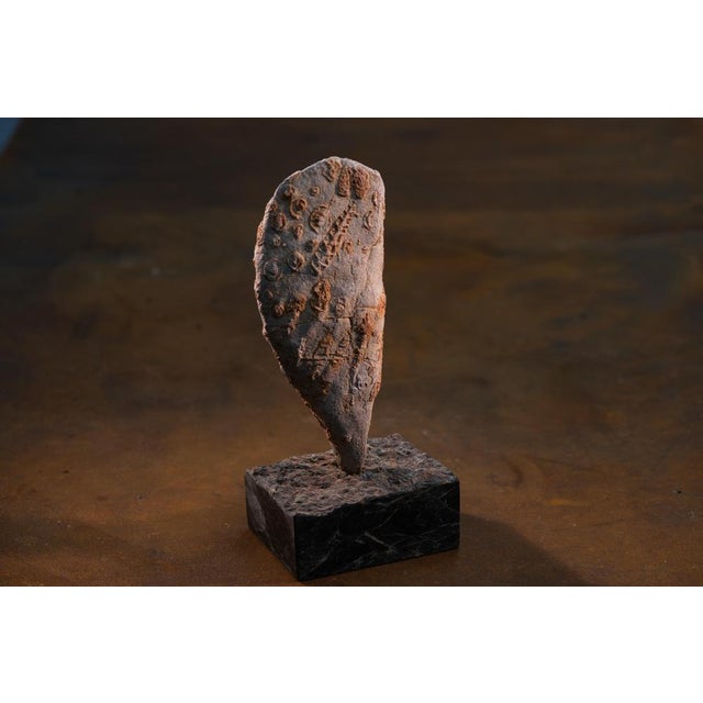 Rock Large Sculpture in Jurassic Natural Rock by Nerinea For Sale - Image 10 of 11
