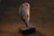 Rock Large Sculpture in Jurassic Natural Rock by Nerinea For Sale - Image 10 of 11