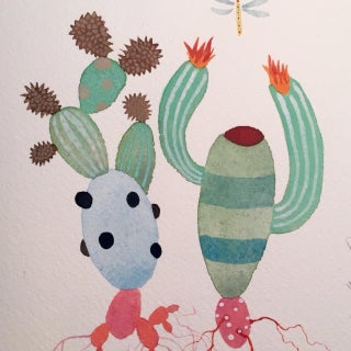 Steve Klinkel Soccer For Sale