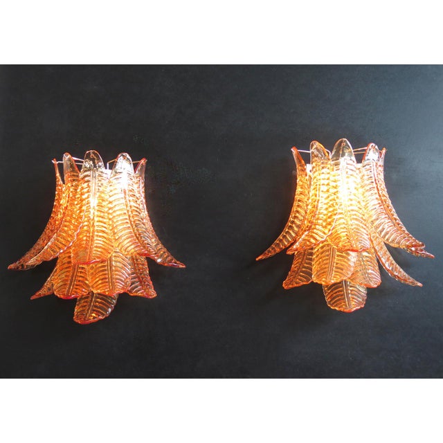 Pair of Murano Amber Felci Glass Wall Sconces- 10 Glass For Sale - Image 4 of 7
