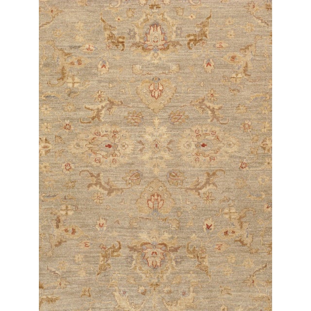 Meet Pasargad Home Denver Collection. This gorgeous decorative area rug brings you a sophisticated look with a modern soft...