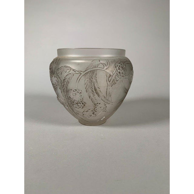 Transparent René Lalique (1860-1945) Vase "medlars", Circa 1930 For Sale - Image 8 of 11
