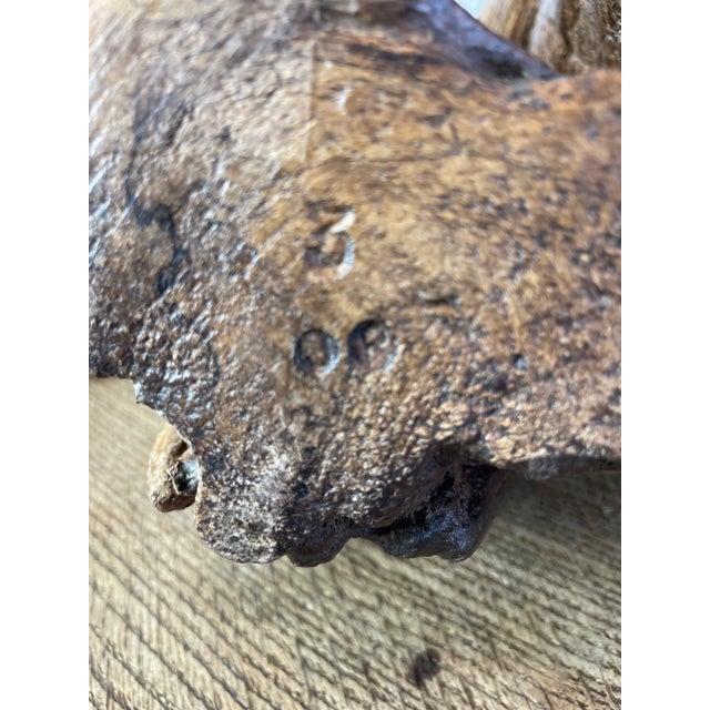 Folk Art Naïve Sculpture in Root Wood, 1800s For Sale - Image 14 of 16