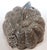 Silver Antique North Indian Mughal Silver Chased Collectible Trinket Box For Sale - Image 8 of 12