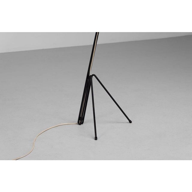 1950s Model 6320 Floor Lamp by Wim Rietveld for Gispen, Netherlands, 1953 For Sale - Image 5 of 18