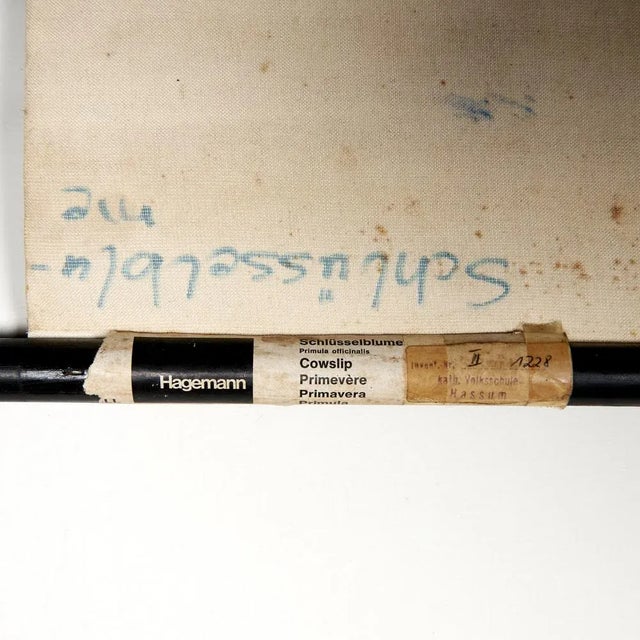 Vintage Botanical Wall Chart by Jung, Koch, & Quentell for Hagemann, 1960s For Sale - Image 6 of 7