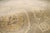Ottoman Lamb's Wool S. Green Area Rug- 8' 1" X 9'11" For Sale In New York - Image 6 of 6