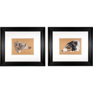 Early 20th Century Wolfhound Portrait Mixed-Media Drawings on Paper, Framed - a Pair For Sale