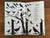 1980s 1980s Peterson Field Guide to Birds For Sale - Image 5 of 10