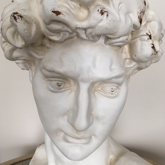Plaster Bust of David Chairish