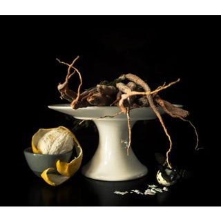 Rooted by Curtis Speer Print, 48" x 48" For Sale