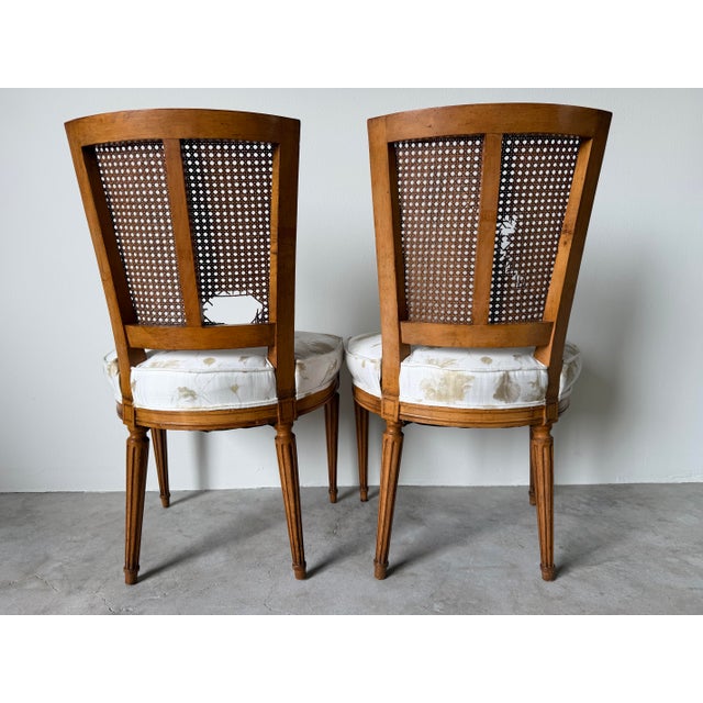 Vintage French Louis XVI Style Cane Back Dining Chairs – A Pair For Sale - Image 4 of 12