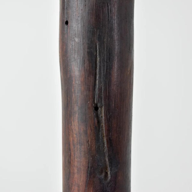 Early 20th Century Makonde Rhinoceros Staff Tanzania For Sale In Denver - Image 6 of 10