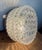Vintage Glass Wall Light, 1970s For Sale - Image 13 of 16
