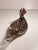 Black and Avventurine Murano Glass Duck attributed to Seguso, Italy, 1970s For Sale - Image 7 of 17