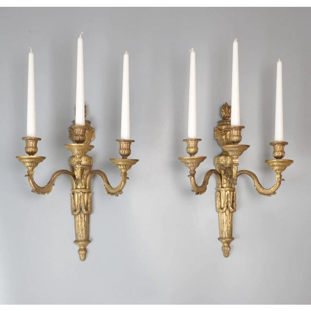 Metal Neoclassical Mazarin Wall Sconces, Set of 2 For Sale - Image 7 of 8