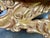 Baroque-Style 22k Gold Leaf Carved Coffee Table With Black Stone Top For Sale - Image 10 of 13