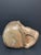 Late 20th Century Vintage Carved Solid Wood Skull Sculpture For Sale - Image 5 of 7