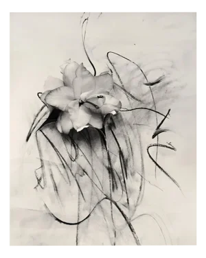 Ugne Pouwell, Lily in Charcoal, 2023, Photography