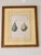 Vintage Framed Pomological Fruit Prints, Set of Three For Sale - Image 12 of 18