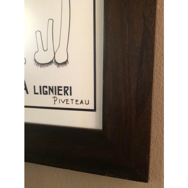 Ivory Large French Botanical Chart and Frame by Dr. Auzoux, Paris 1950's For Sale - Image 8 of 9