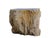 Big Petrified Wood Side Table by Xyleia Petrified Wood For Sale - Image 4 of 6