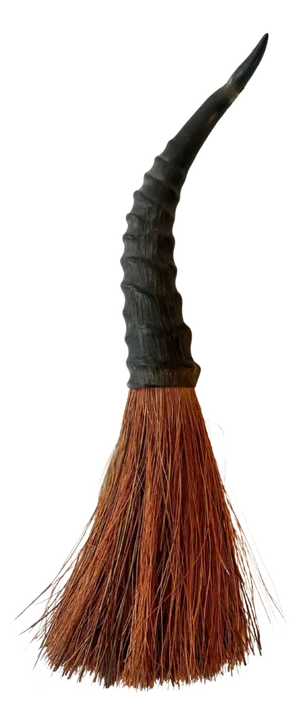 Horn Handle Whisk Broom or Decorative Piece