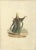 This print is from 'The Military Costume of Turkey. Illustrated by A Series of Engravings. from Drawings made on the Spot....